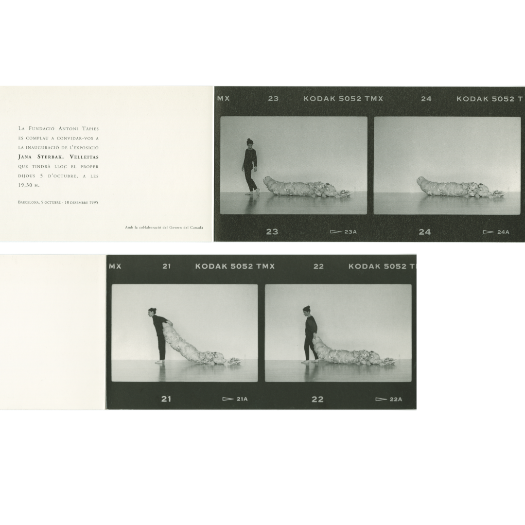 International Women’s Day - Fundació Antoni Tàpies